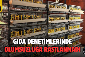 Objektif (12)