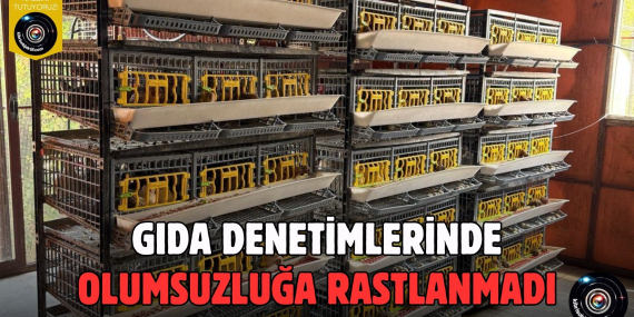Objektif (12)