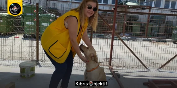 Nefise Düşünür ile Göz Göze: Serap Safer
