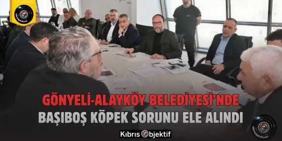 Gönyeli-Alayköy Belediyesi’nde başıboş köpek sorunu ele alındı