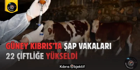 Güney Kıbrıs’ta Şap Vakaları 22 Çiftliğe Yükseldi