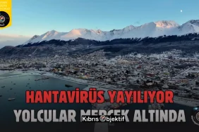 Hantavirüs yayılıyor: Arjantin’den yola çıkan gemideki yolcularının rotası mercek altında - Görsel Dizayn