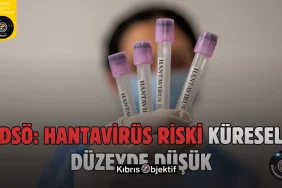 DSÖ hantavirüsü “küresel nüfus için riski düşük” olarak değerlendirmeye devam ediyor - Görsel Dizayn