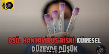 DSÖ hantavirüsü “küresel nüfus için riski düşük” olarak değerlendirmeye devam ediyor - Görsel Dizayn