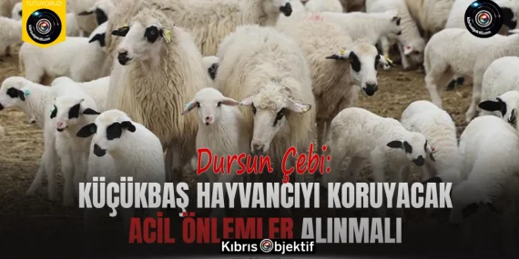 Çebi: Küçükbaş hayvancıyı koruyacak acil önlemler alınmalı