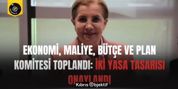 Ekonomi, Maliye, Bütçe ve Plan Komitesi toplandı: İki yasa tasarısı onaylandı
