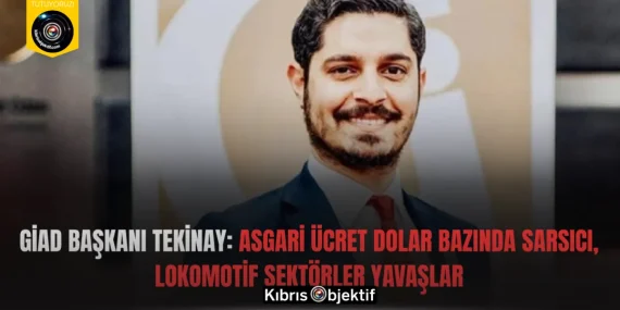 GİAD Başkanı Tekinay: Asgari ücret dolar bazında sarsıcı, lokomotif sektörler yavaşlar