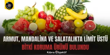 Armut, mandalina ve salatalıkta limit üstü bitki koruma ürünü bulundu - Görsel Dizayn