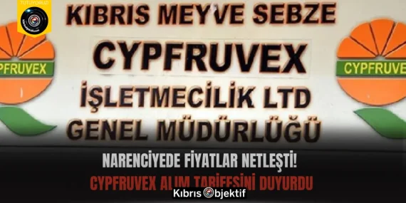 Narenciyede fiyatlar netleşti! Cypfruvex alım tarifesini duyurdu