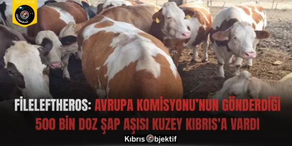 Fileleftheros: Avrupa Komisyonu’nun gönderdiği 500 bin doz şap aşısı Kuzey Kıbrıs’a vardı