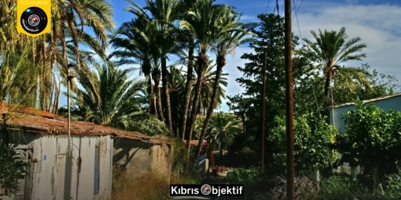 Lefke’de yaşanan alt yapı, çevre ve kent estetiği sorunlarına dikkat çekildi