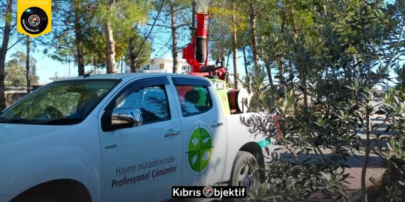 Mesarya Belediyesi çam kese böceğine karşı ilaçlama çalışmalarını tamamladı