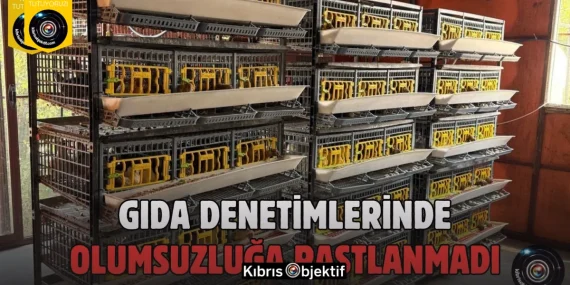 Veteriner Dairesi’nden gıda denetimi - Görsel Dizayn