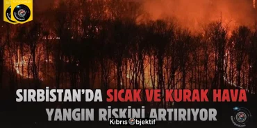 Sırbistan’da 45 orman yangınına müdahale sürüyor - Görsel Dizayn