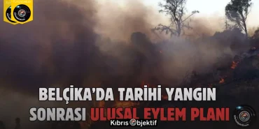 Belçika, orman yangınlarına karşı ulusal eylem planı hazırlayacak - Görsel Dizayn