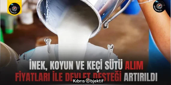 İnek, koyun ve keçi sütü alım fiyatları ile devlet desteği artırıldı