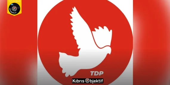 TDP: Ev İçi Şiddet Yasası yoksa, adalet de yoktur
