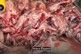 Karkas Operasyonu genişletildi: Üç iş yeri ve depoya baskın - Görsel Dizayn