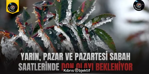 Yarın, pazar ve pazartesi sabah saatlerinde don olayı bekleniyor