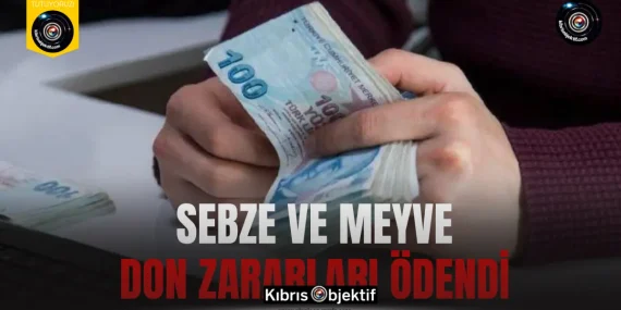 Sebze ve meyve don zararları ödendi