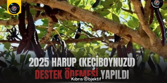 2025 harup (keçiboynuzu) destek ödemesi yapıldı