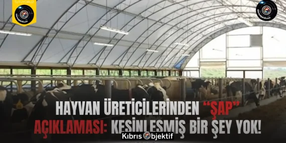 Hayvan üreticilerinden “şap” açıklaması: Kesinleşmiş bir şey yok!