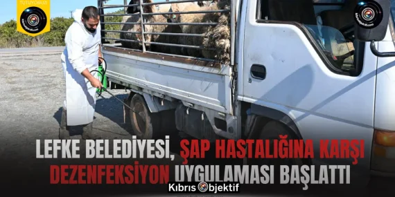 Lefke Belediyesi, şap hastalığına karşı dezenfeksiyon uygulaması başlattı