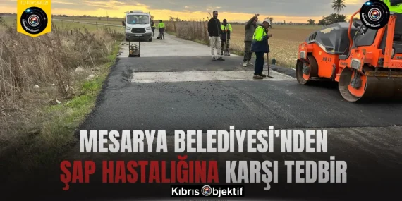 Mesarya Belediyesi’nden şap hastalığına karşı tedbir