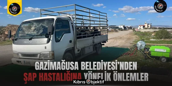 Gazimağusa Belediyesi’nden şap hastalığına yönelik önlemler