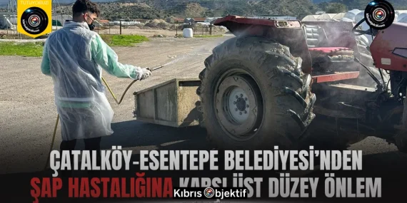 Çatalköy-Esentepe Belediyesi’nden şap hastalığına karşı üst düzey önlem