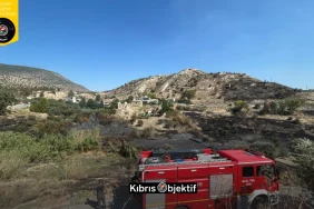 Değirmenlik’te 25 dönüm yandı: Bir kişi tutuklandı - Görsel Dizayn