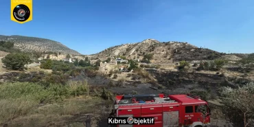 Değirmenlik’te 25 dönüm yandı: Bir kişi tutuklandı - Görsel Dizayn