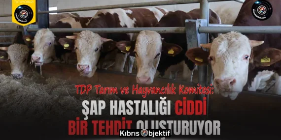 TDP Tarım ve Hayvancılık Komitesi: Şap hastalığı ciddi bir tehdit oluşturuyor