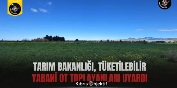 Tarım Bakanlığı, tüketilebilir yabani ot toplayanları uyardı