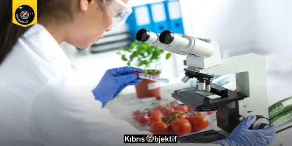 HAFTALIK GIDA DENETİMLERİNDE ÜÇ ÜRÜNDE İMHA VE İADE KARARI