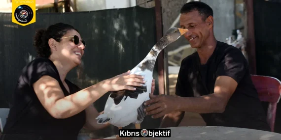 KAZLARLA KURDUĞU ÖZEL BAĞLA DİKKAT ÇEKEN TÜMER DEBRELİ HİKAYESİNİ ANLATTI